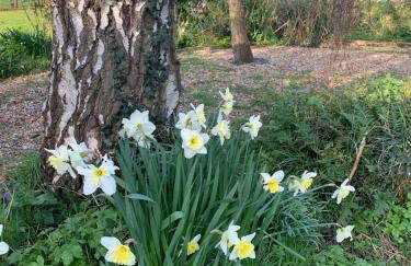 Crafter's Retreat luxury cabin on the Norfolk Cambridgeshire border - Foto 16