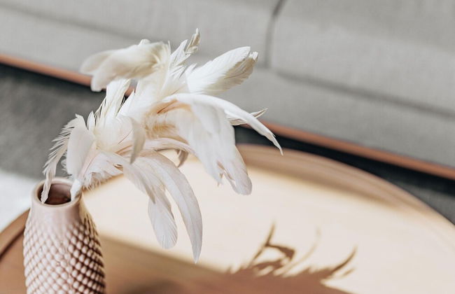 Private Indoor Pool Home in Verviers - Photo 17