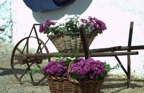 La Quibla de Abuhan - Foto 17