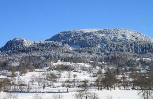 Gîte familial restauré avec jardin clos, équipements bébé, animaux acceptés, proche St-Julien-Chapteuil - FR-1-582-296 - Foto 8