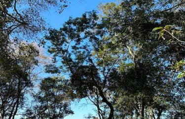 Chácara Paraiso Mion Pé na água - Foto 27