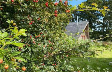 Aframe Tiny Home SILVA with private hot tub - Foto 3