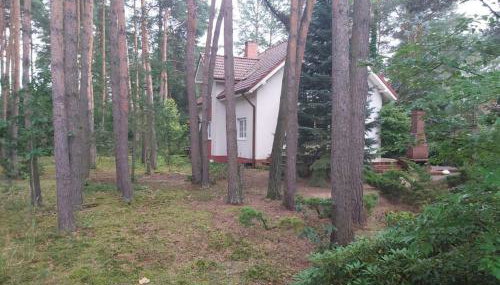 Tuczno Dom w lesie - Foto 5