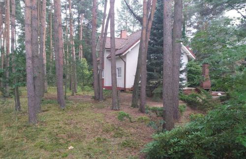 Tuczno Dom w lesie - Foto 5