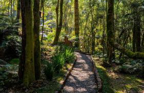 Cabana na Serra Rs - Foto 12