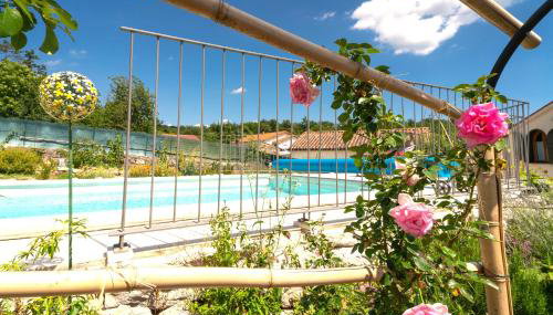 VILLA SALVIA - Holiday house with pool - - Foto 2, Garden