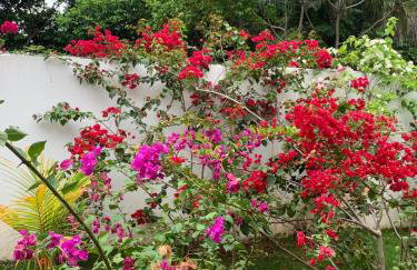 Large house with pool, barbecue and garden - Foto 35