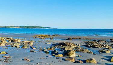 Shackmatack - Foto 5