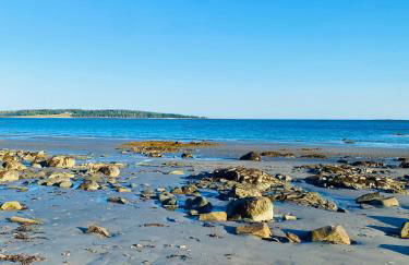 Shackmatack - Foto 5