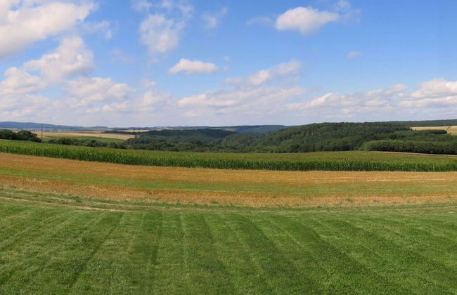 Holiday Home Red Milan - Photo 13