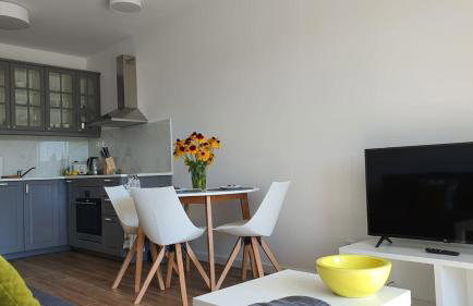 APARTAMENT WILKASY II (k. Giżycka ) - Foto 10