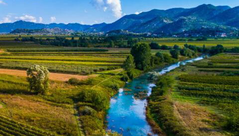 Apartman Maslina - Foto 5