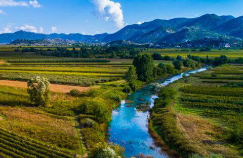 Apartman Maslina - Foto 5