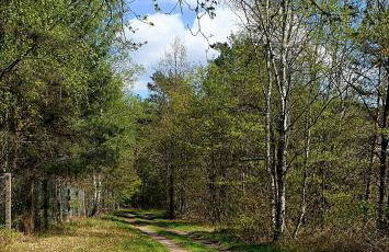 Ferienwohnung Luft und Erde - Foto 24