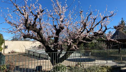 1 chambre 1 cuisine & salle d'eau privées avec piscine et jacuzzi - Foto 4