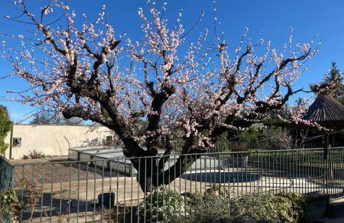 1 chambre 1 cuisine & salle d'eau privées avec piscine et jacuzzi - Foto 4