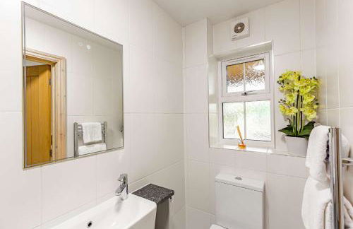 Rhosllyn Retreats - Lakeside Lodge - Foto 17