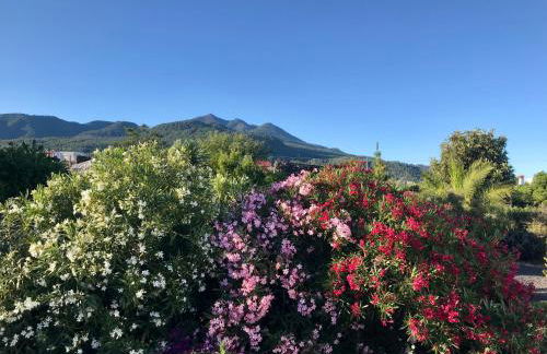 Casita La Rosa - Foto 10