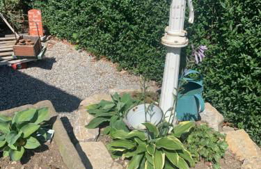 s'Lena Häusle - Foto 36