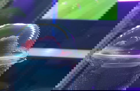 Mom's House Granada - Photo 55