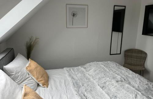 Connect 9.1 - Foto 3