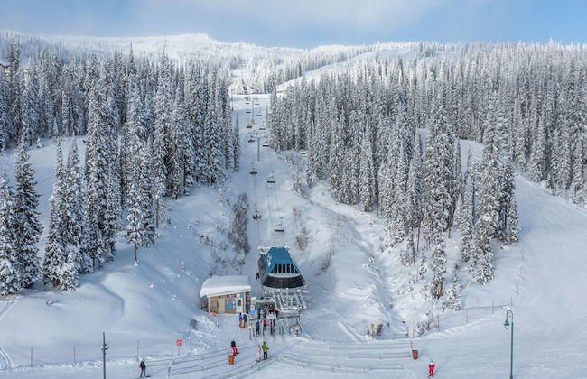 Vista at Big White Amazing Location View - Photo 35