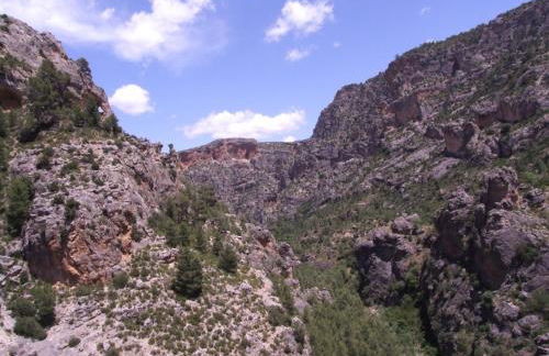 Casas Rurales Venta Ticiano - Foto 33