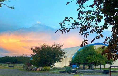 Ferienwohnung auf Pferdehof bei Neustadt - Foto 35