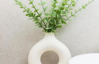 Maravilloso Duplex en San Agustin - Foto 27