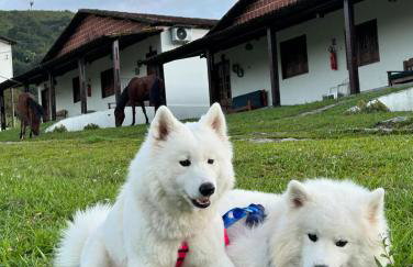 FLAT 234 Hotel Pedra Rodeadouro - Foto 22