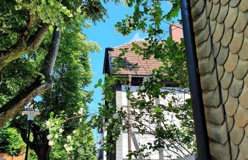 Stadt Land Fluss Plus - Photo 20