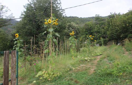 L'école d'autrefois - Foto 23