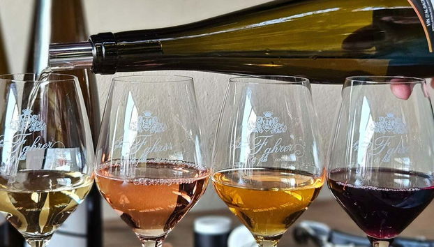 Degustazione di quattro vini