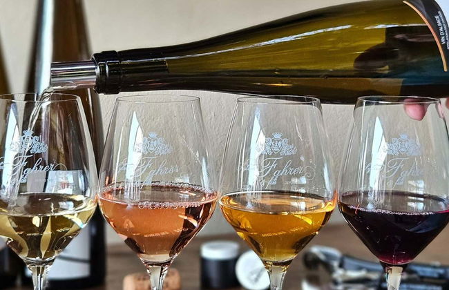 Visita às vinícolas Sylvie Fahrer et Fils - Foto 7