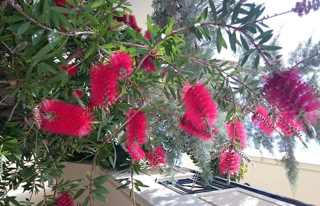 Mythos Platanias - Foto 76