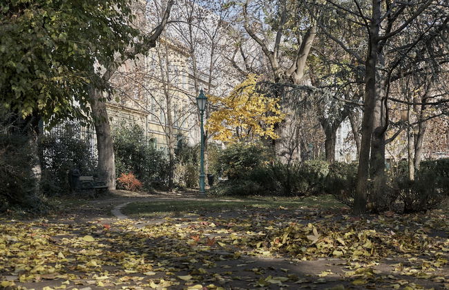 Károlyi Garden Apartment - Foto 20