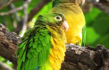 Sítio SPA Céu De Verdade , Praia de Barra Nova , Ceará - Foto 43