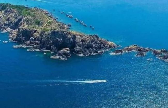 NHATUIshare Quy Nhon - Photo 51