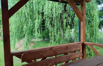 Winiec 218/8 - Foto 3