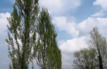 Agriturismo Colombera - Foto 26