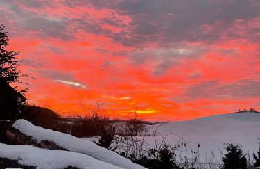 Zur Schwalbe - Photo 44