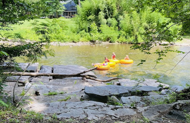 Riverview 1 Bedroom Cabin by RedAwning - Photo 12