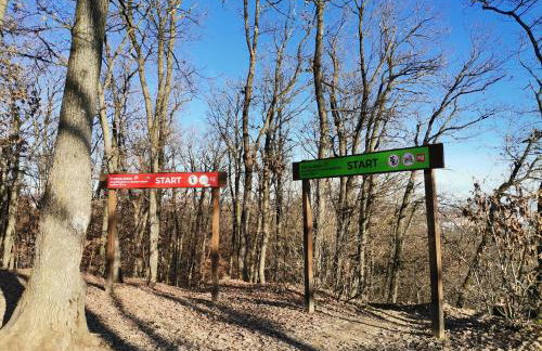 Green Garden Station - Photo 51