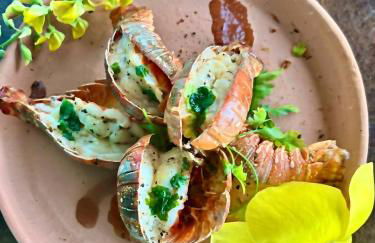 VILA PITHAYA - Casa Jambo Rosa - Foto 34