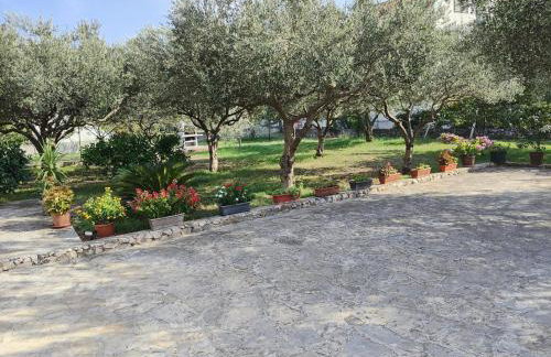 Apartments Stipanovic - Photo 17