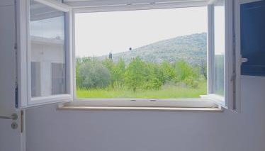 Green paradise - Foto 5