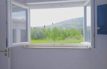 Green paradise - Photo 5