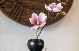 SAUERLAND CHALETS - "Die Chalets Herzenssache" - Foto 20