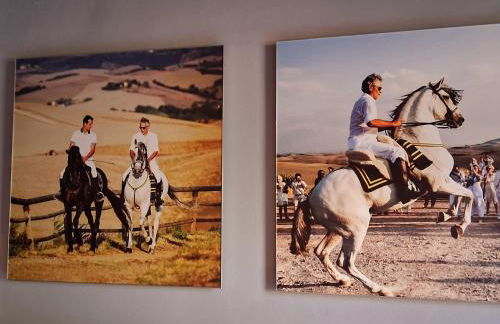 Casa ARMANDA 2 - Foto 55