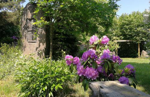 Wandertraum Johann - FeWo Eifel - Foto 18